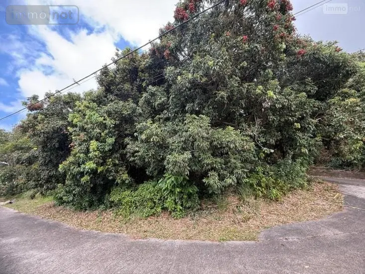 Terrain a batir a vendre Saint-Joseph 97480 La Réunion 974 139300 euros 97411-339 001