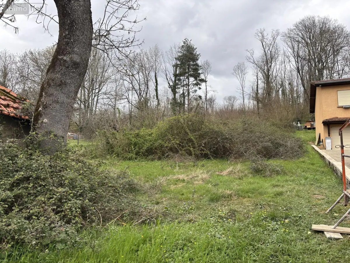 Terrain a batir a vendre Ambutrix 01500 Ain 01 89000 euros 01037-913 001