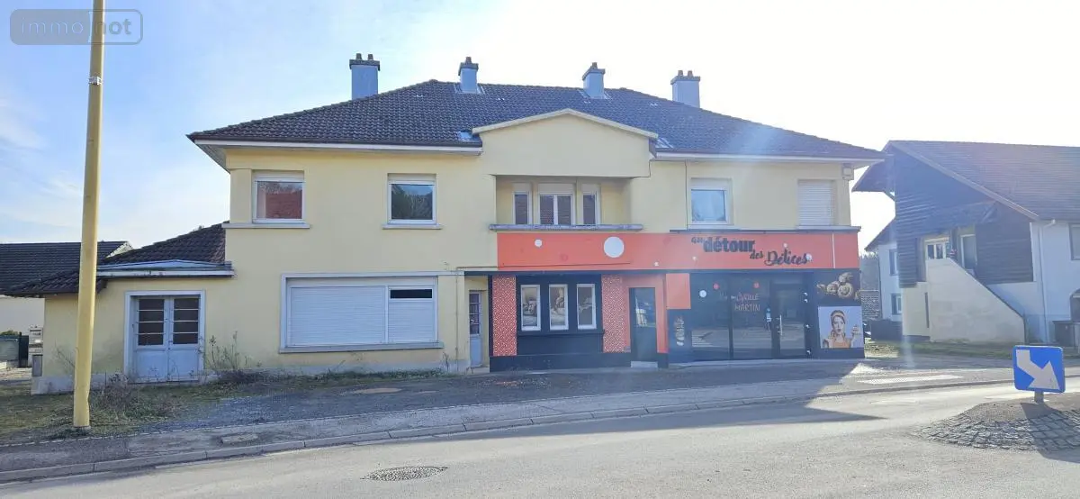 Immeuble de rapport a vendre Étival-Clairefontaine 88480 Vosges 88 277 m2 241900 euros 88061-826 001