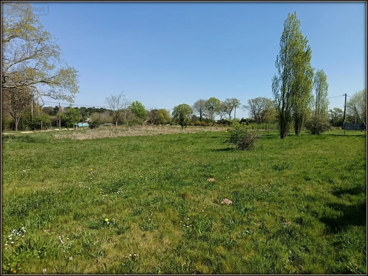 Terrain a batir a vendre Saint-Thurial 35310 Ille-et-Vilaine 35 95500 euros 35060-115 001