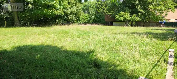Terrain a batir a vendre Terres-de-Caux 76640 Seine-Maritime 76 75000 euros PL302 001