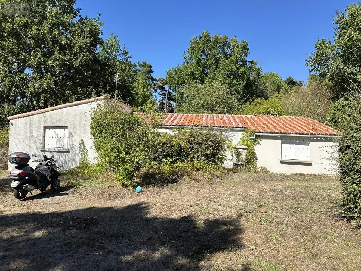 Maison a vendre Montaigu-Vendée 85600 Vendée 85 98 m2 331100 euros 85020-1552 001