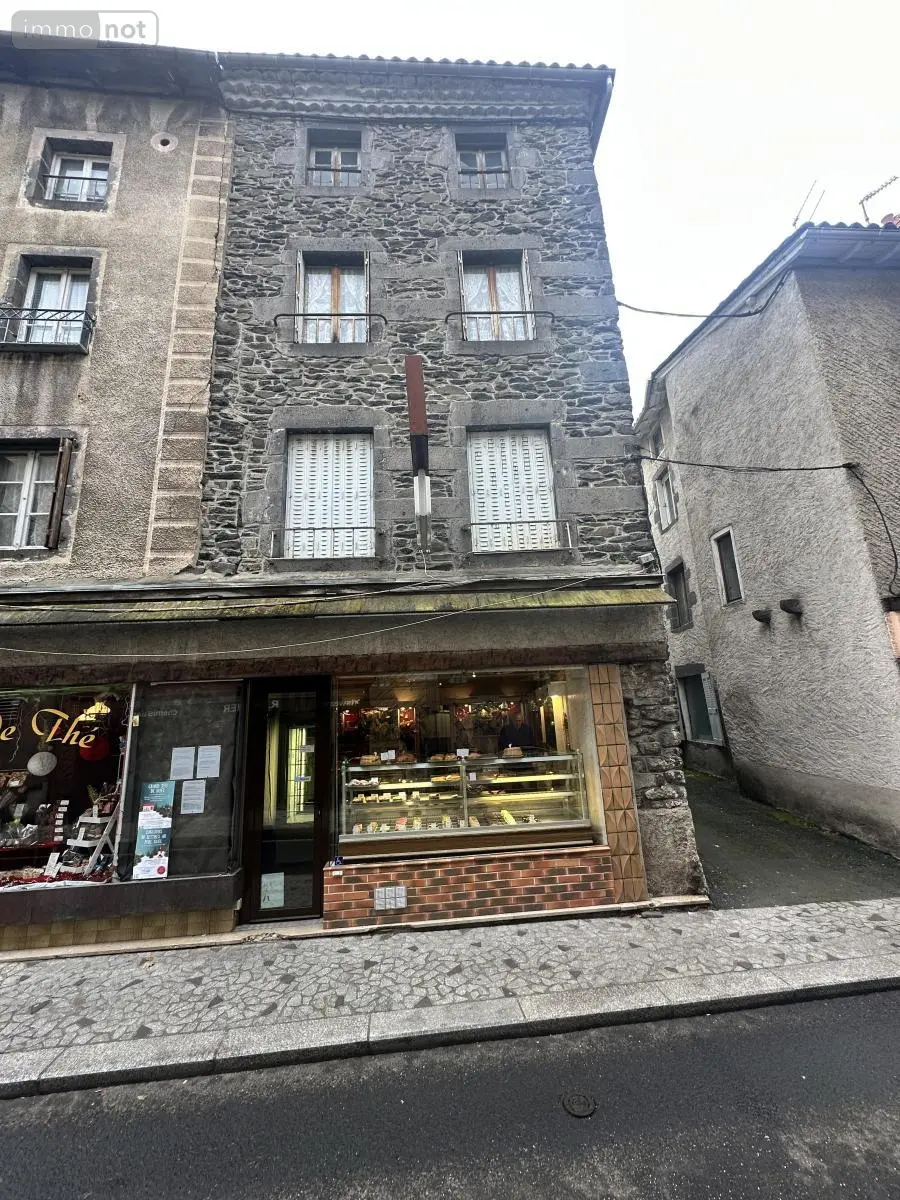 Immeuble de rapport a vendre Saint-Flour 15100 Cantal 15 134 m2 84800 euros 15046-12 001