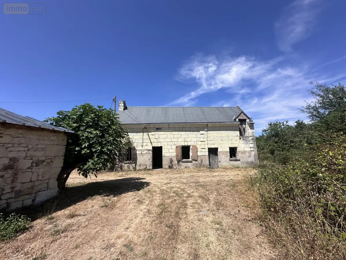 Maison a vendre Rigny-Ussé 37420 Indre-et-Loire 37 100 m2 73000 euros 37072-668 001