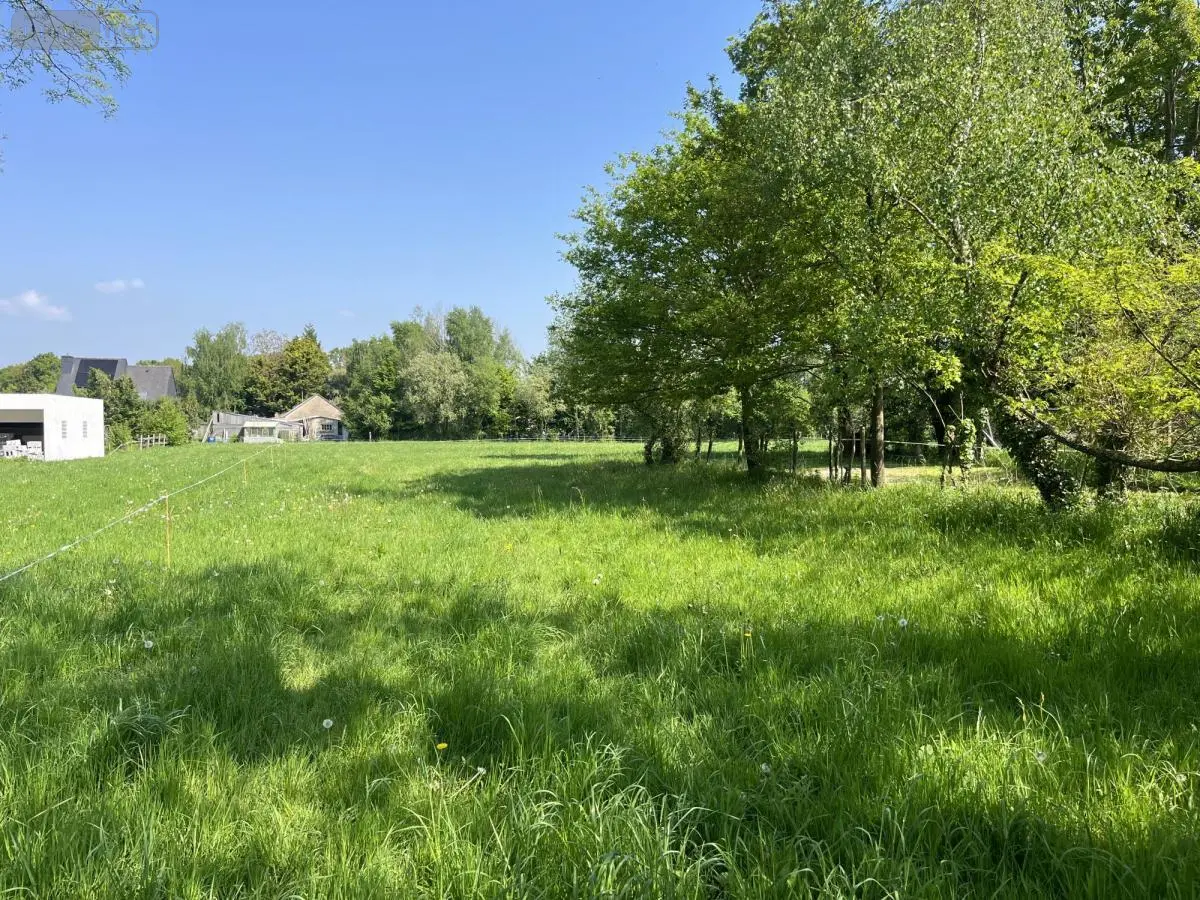 Terrain a batir a vendre Taupont 56800 Morbihan 56 98860 euros 56044-1497 001