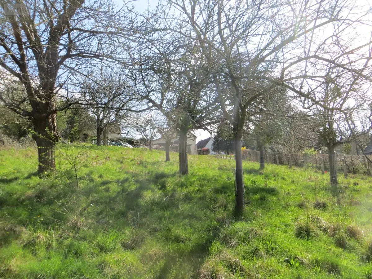 Terrain a batir a vendre Roullours 14500 Calvados 14 38000 euros 14076-4986 001