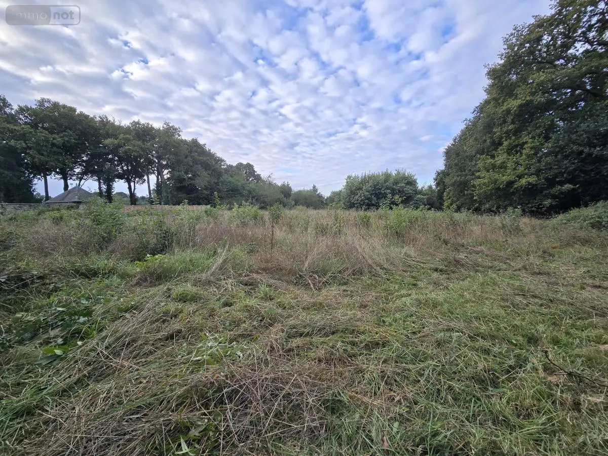 Terrain a batir a vendre Val d'Oust 56460 Morbihan 56 95130 euros 56049-761 001
