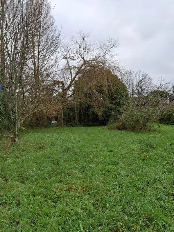 Terrain a batir a vendre Fouesnant 29170 Finistère 29 192770 euros 29014-2859 001