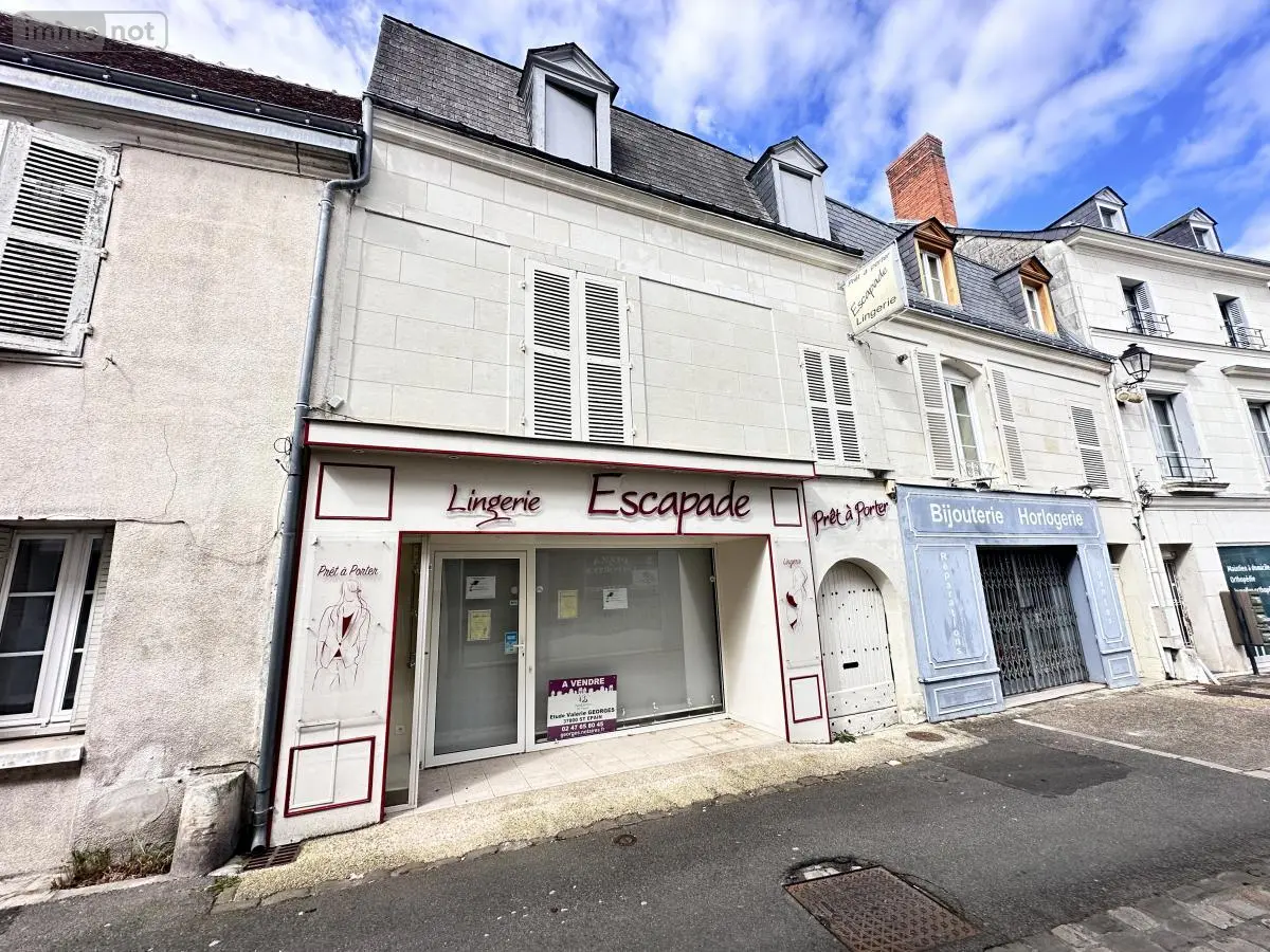 Fonds et murs commerciaux a vendre Sainte-Maure-de-Touraine 37800 Indre-et-Loire 37 180 m2 8 pièces 235500 euros 37072-666 001