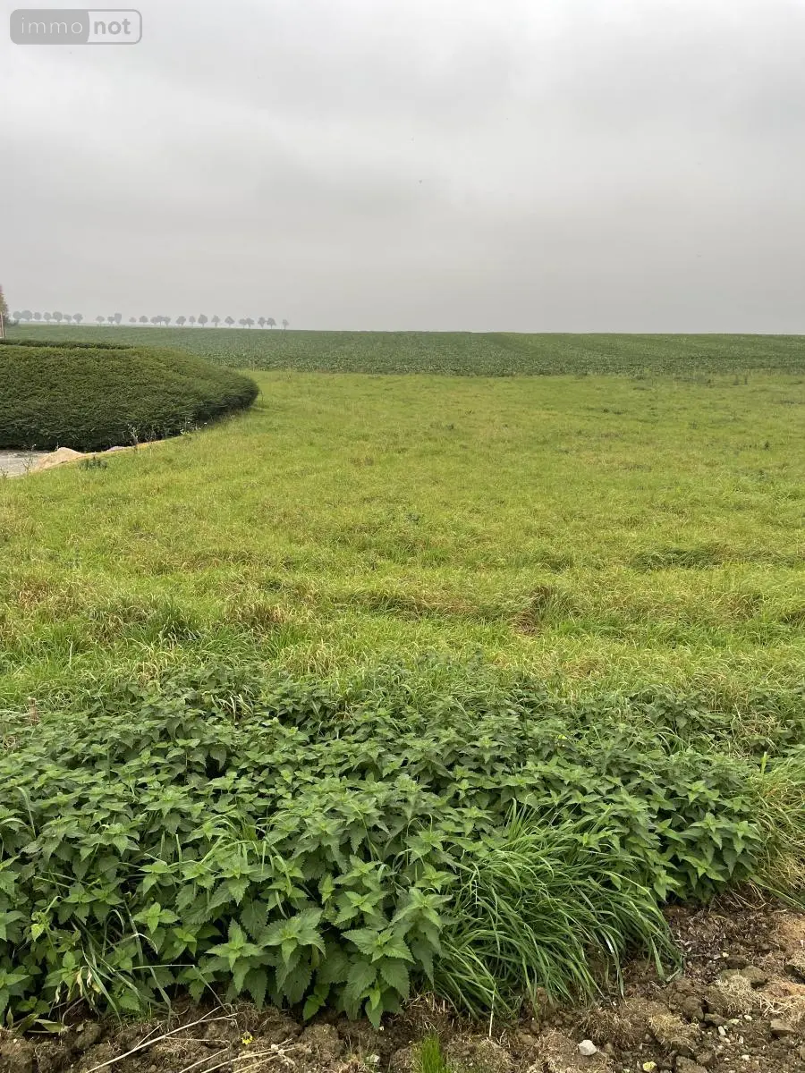 Terrain a batir a vendre Wambaix 59400 Nord 59 59800 euros 59191-5777 001