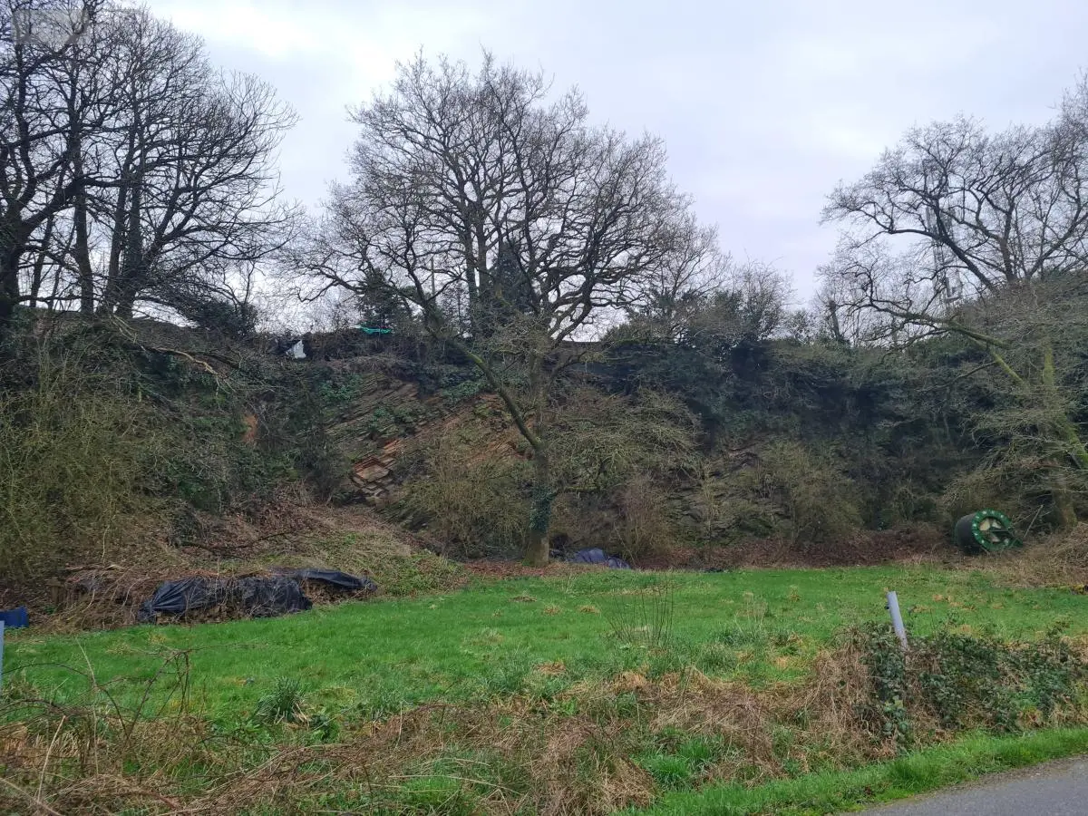 Terrain a batir a vendre Rohan 56580 Morbihan 56 53000 euros 56053-2355 001