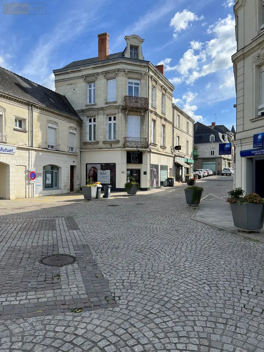 Immeuble de rapport a vendre Longué-Jumelles 49160 Maine-et-Loire 49 250 m2 296800 euros 49107-1137 001