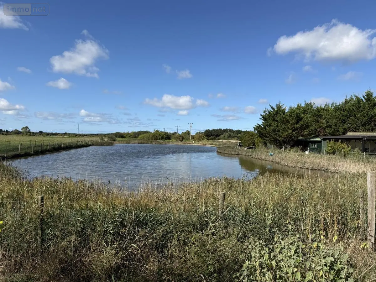 Terrains de loisirs bois etangs a vendre Rue 80120 Somme 80 188000 euros 80121-2797 001