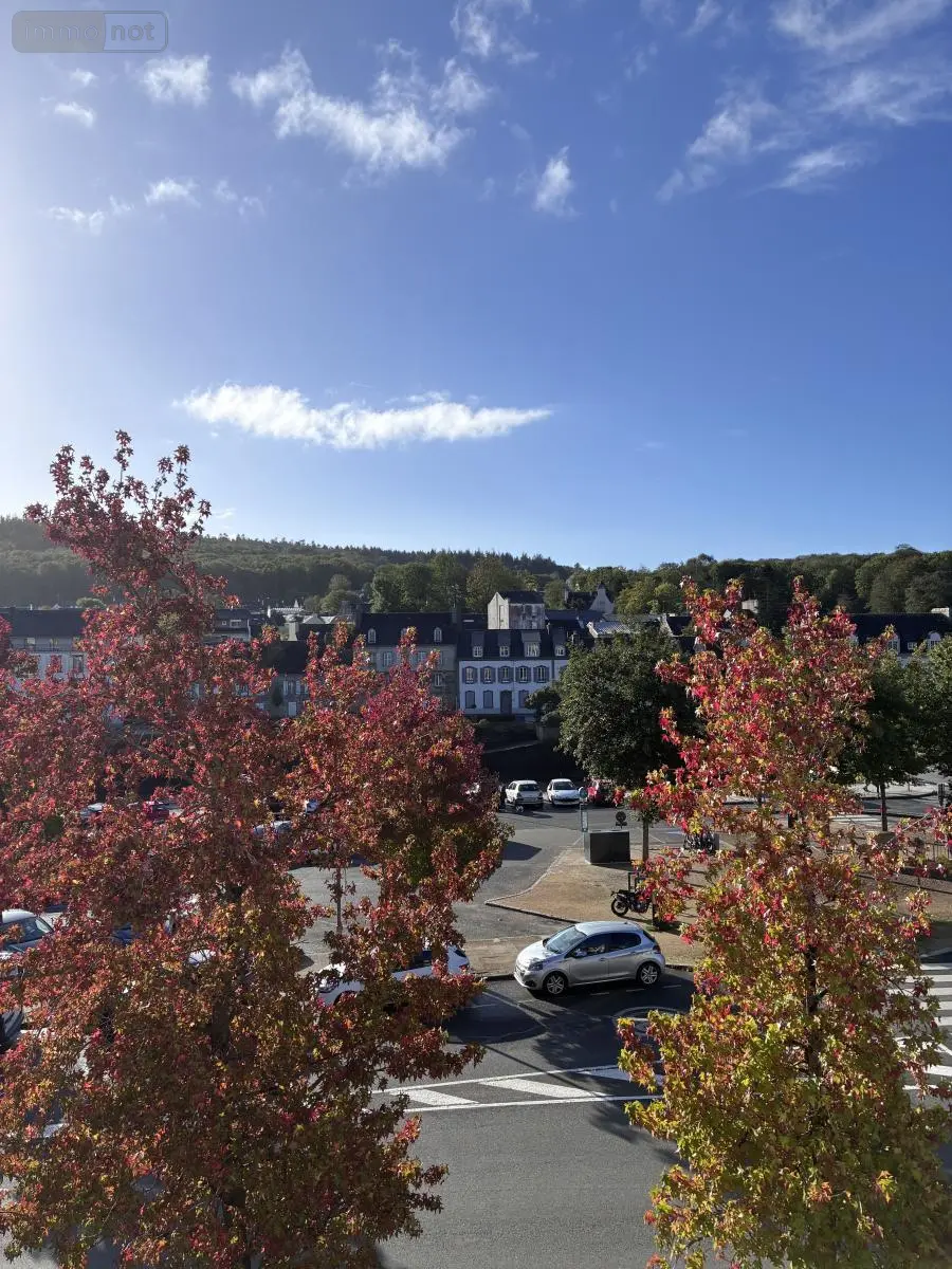 Appartement a vendre Landerneau 29800 Finistère 29 99 m2 4 pièces 320800 euros 29039-1516 001