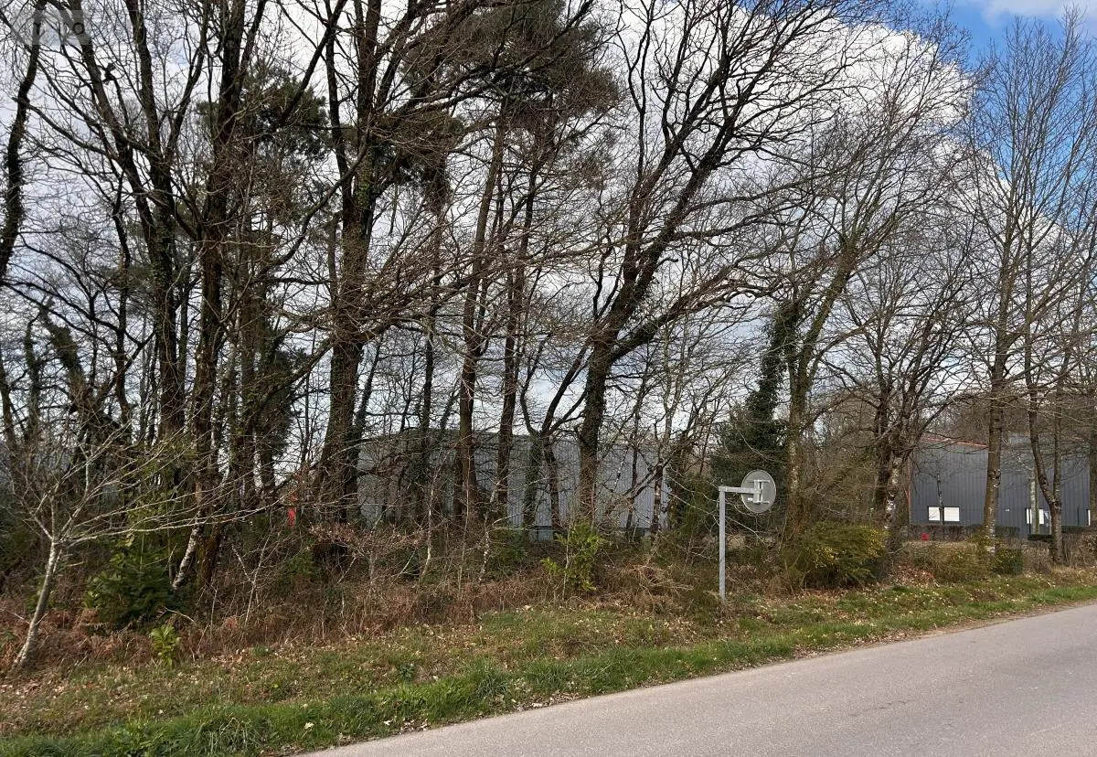 Terrain a batir a vendre Guer 56380 Morbihan 56 62300 euros 56046-1261 001