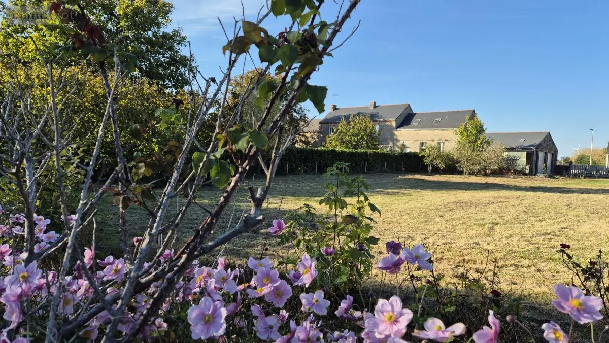 Terrain a batir a vendre Angrie 49440 Maine-et-Loire 49 39000 euros 49095-1616 001