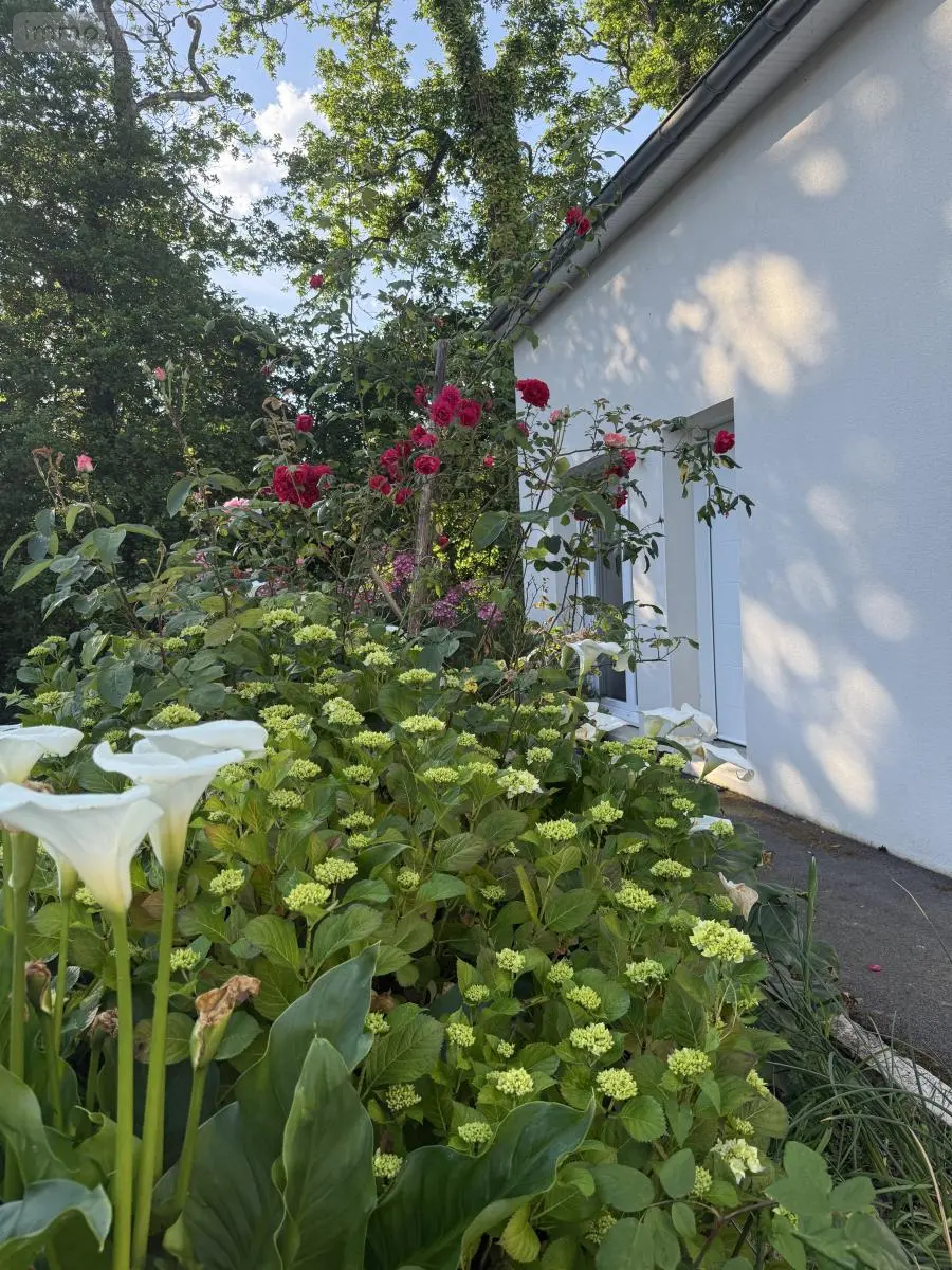 Maison a vendre Plougoumelen 56400 Morbihan 56 104 m2 5 pièces 364900 euros 56002-1556 001
