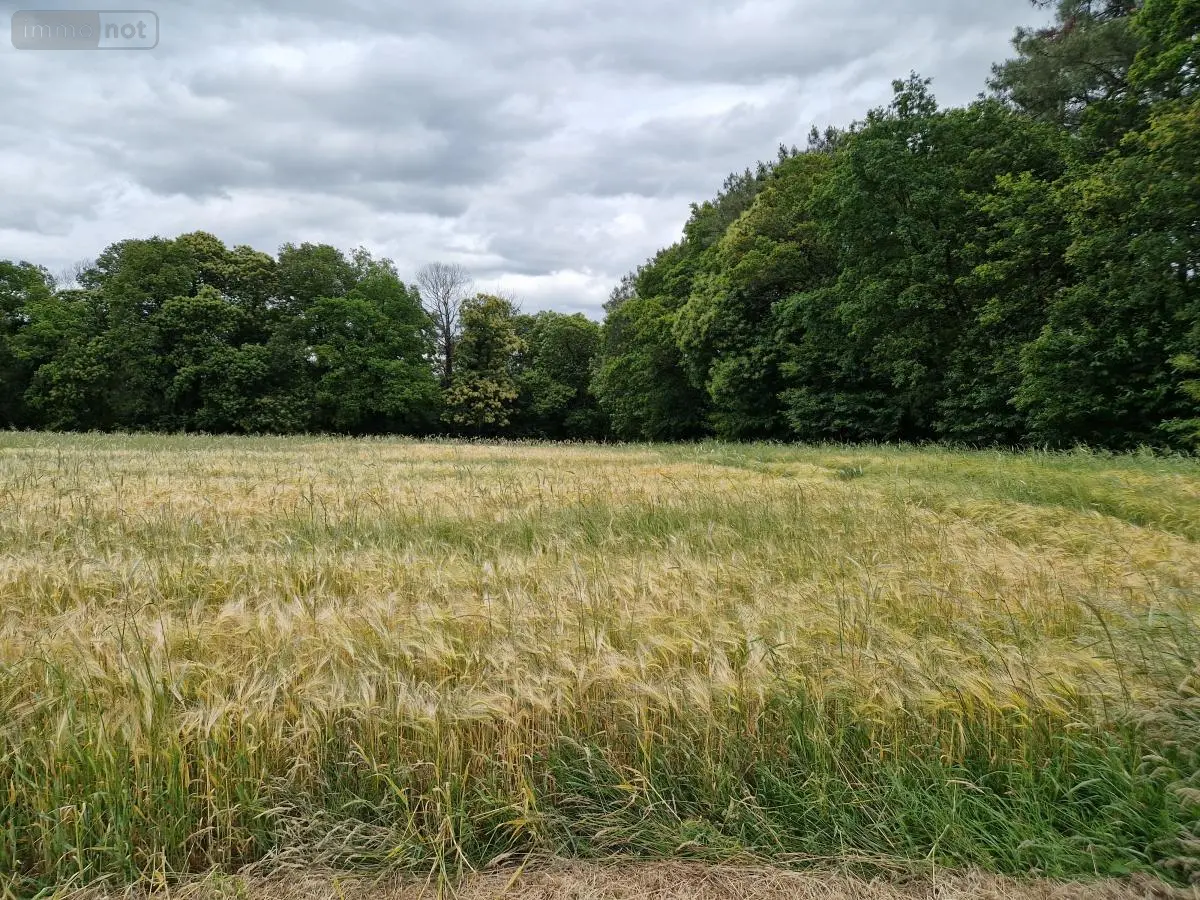Terrains de loisirs bois etangs a vendre Val d'Oust 56460 Morbihan 56 1790 euros 56050-712 001