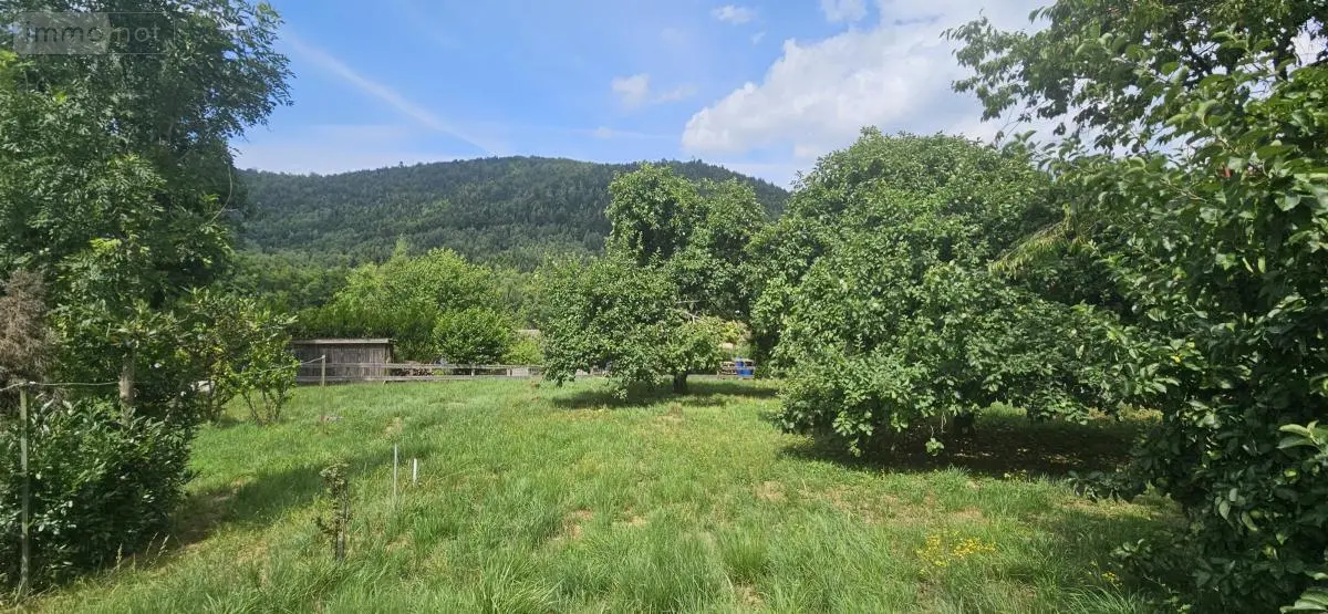 Terrain a batir a vendre Raon-l'Étape 88110 Vosges 88 56000 euros 88061-794 001
