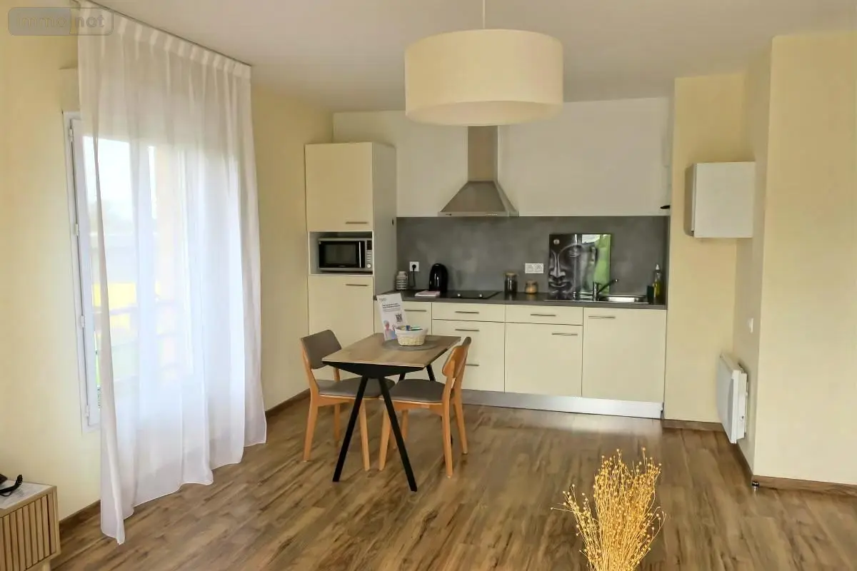 Appartement a vendre Saint-Doulchard 18230 Cher 18 45 m2 2 pièces 116000 euros 18005-1688 001