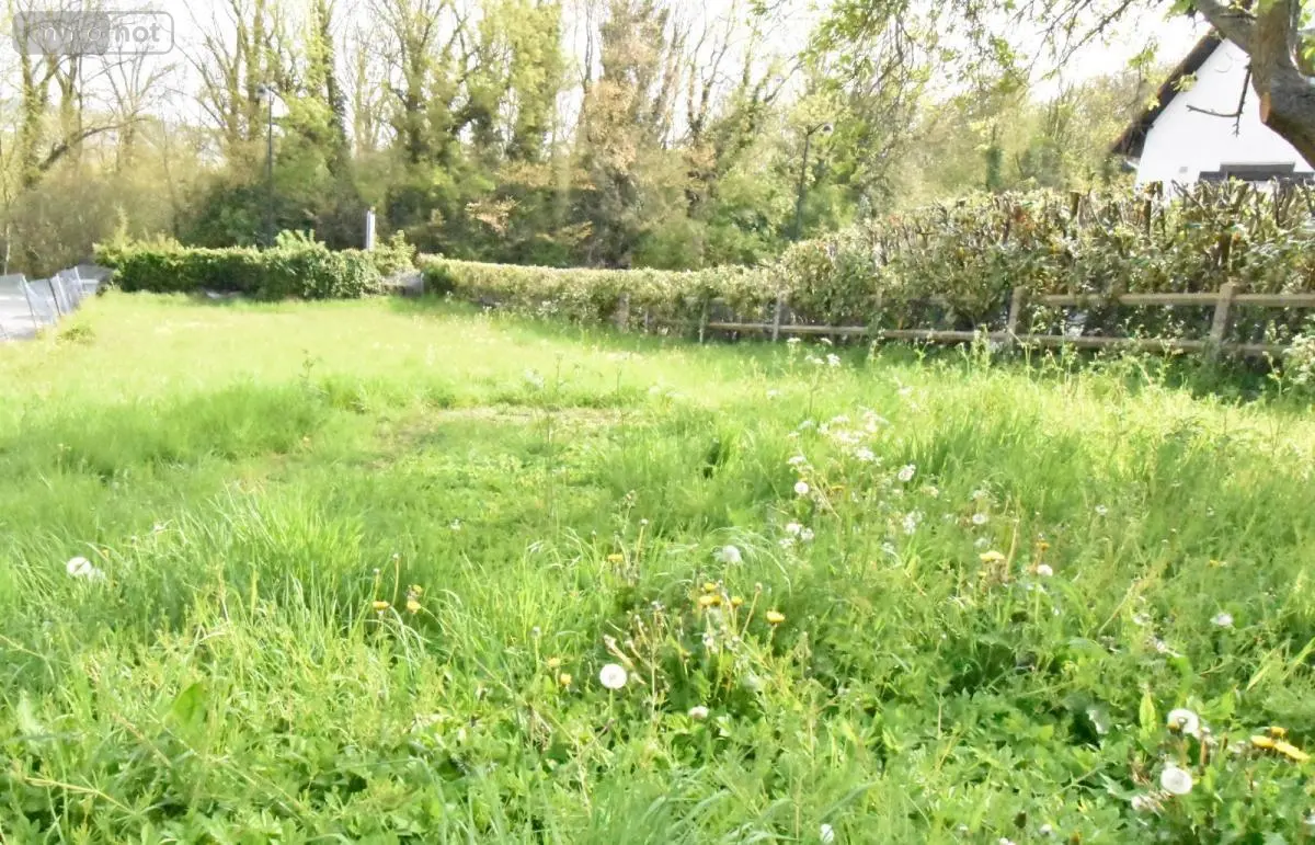 Terrain a batir a vendre Eu 76260 Seine-Maritime 76 38000 euros 76140-96 001