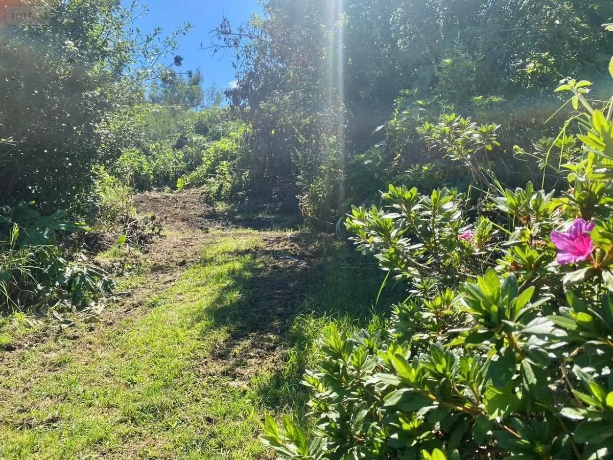 Terrain a batir a vendre Le Tampon 97418 La Réunion 974 107500 euros 97409-298 001
