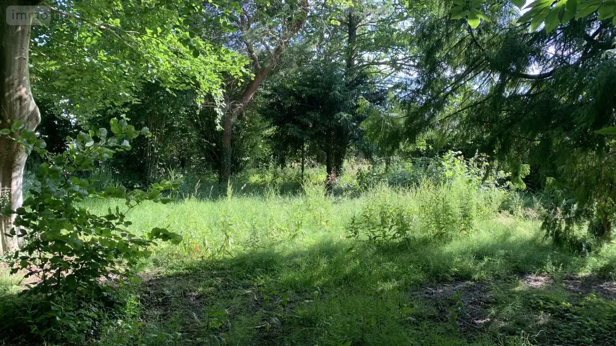 Terrain a batir a vendre Condette 62360 Pas-de-Calais 62 200000 euros 62055-3943 001