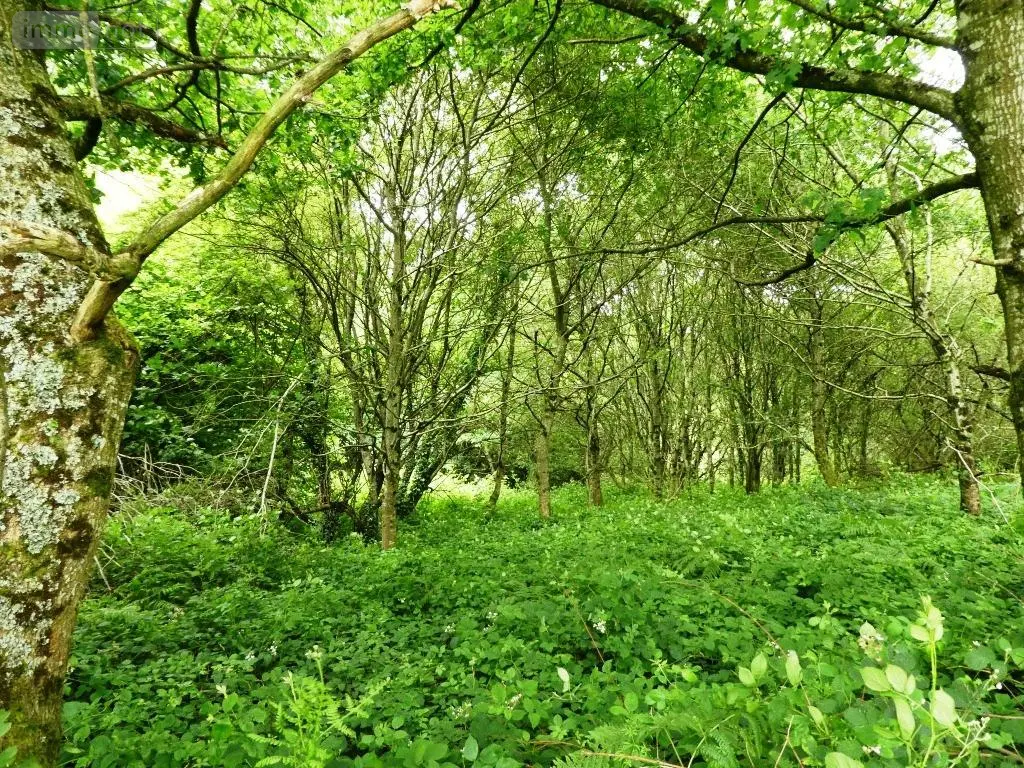 Terrains de loisirs bois etangs a vendre Locmalo 56160 Morbihan 56 2600 euros 56075-2514 001