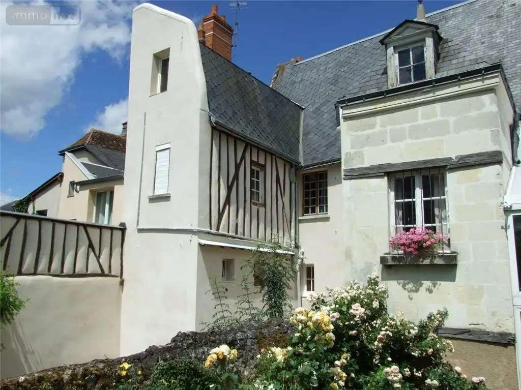 Immeuble de rapport a vendre Tours 37000 Indre-et-Loire 37 244 m2 621000 euros 37007-2816 001