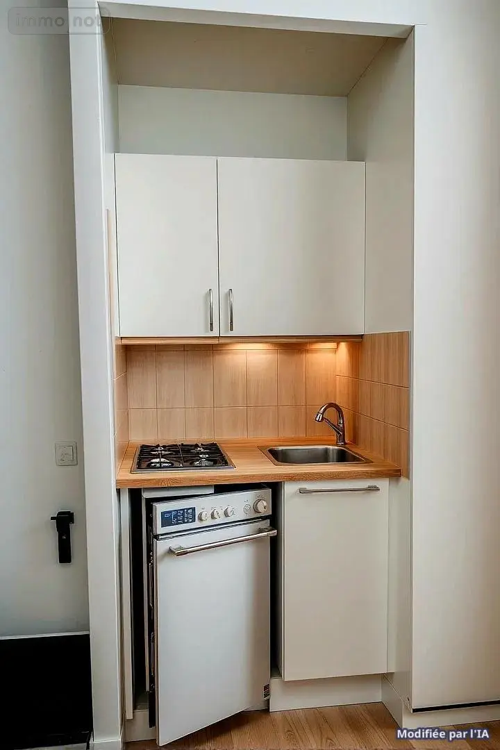 Location appartement Reims 51100 Marne 51 19 m2 1 pièce 360 euros 51082-L996 001