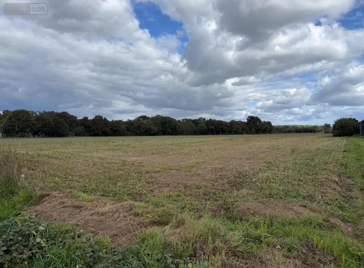 Terrain a batir a vendre Malestroit 56140 Morbihan 56 62250 euros 56044-1503 001