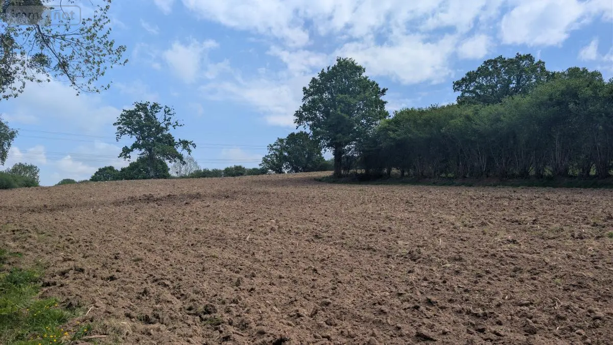 Terrains de loisirs bois etangs a vendre Rouffigny 50800 Manche 50 25375 euros 50038-2617 001