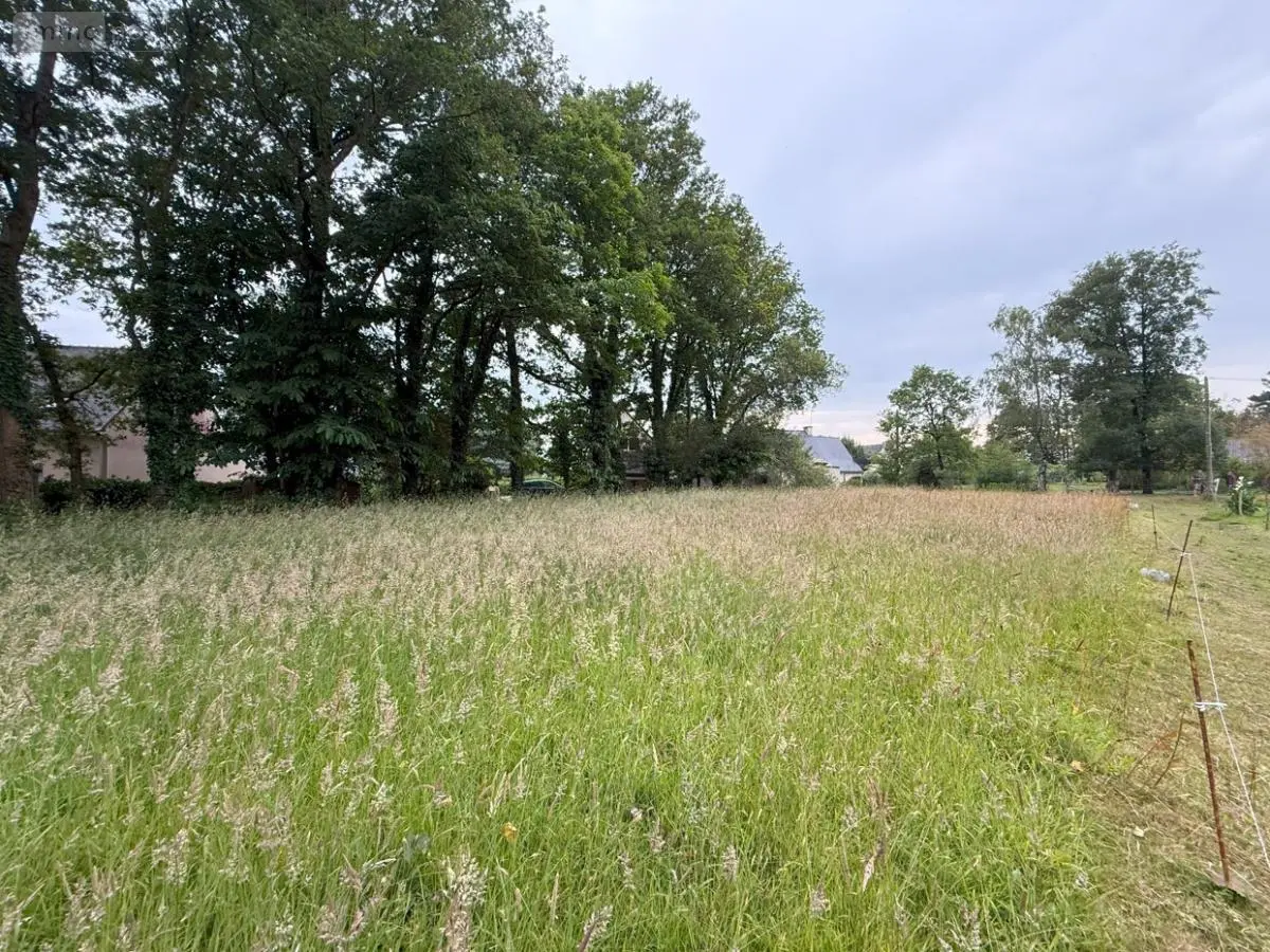 Terrain a batir a vendre Questembert 56230 Morbihan 56 66566 euros 56084-402 001