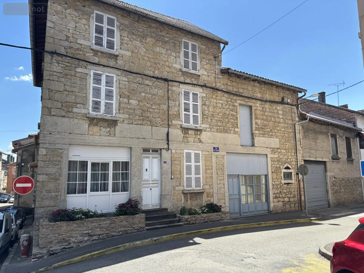 Immeuble de rapport a vendre Lagnieu 01150 Ain 01 291 m2 469000 euros 01037-918 001