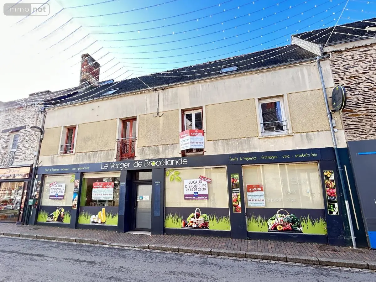 Fonds et murs commerciaux a vendre Guer 56380 Morbihan 56 285 m2 332480 euros 56046-1341 001