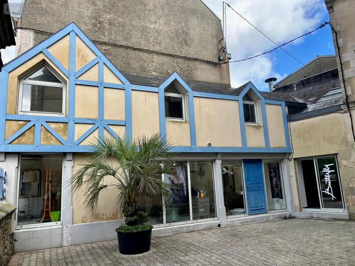 Immeuble de rapport a vendre Quimper 29000 Finistère 29 107 m2 241500 euros 29064-2812 001