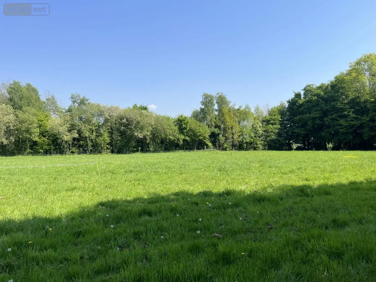 Terrain a batir a vendre Taupont 56800 Morbihan 56 112100 euros 56044-1498 001