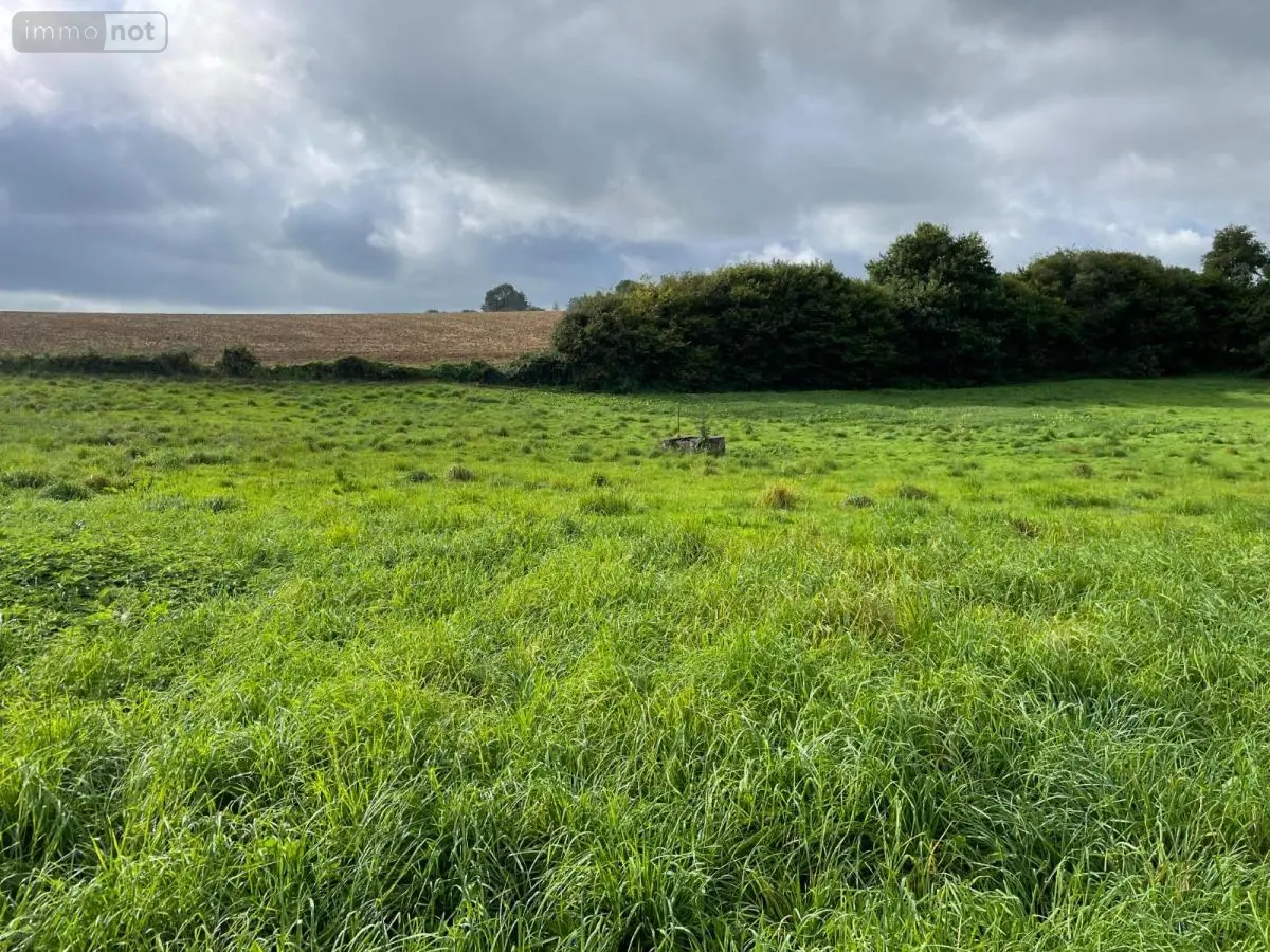 Terrains de loisirs bois etangs a vendre Reffuveille 50520 Manche 50 21800 euros 50020-1438 001