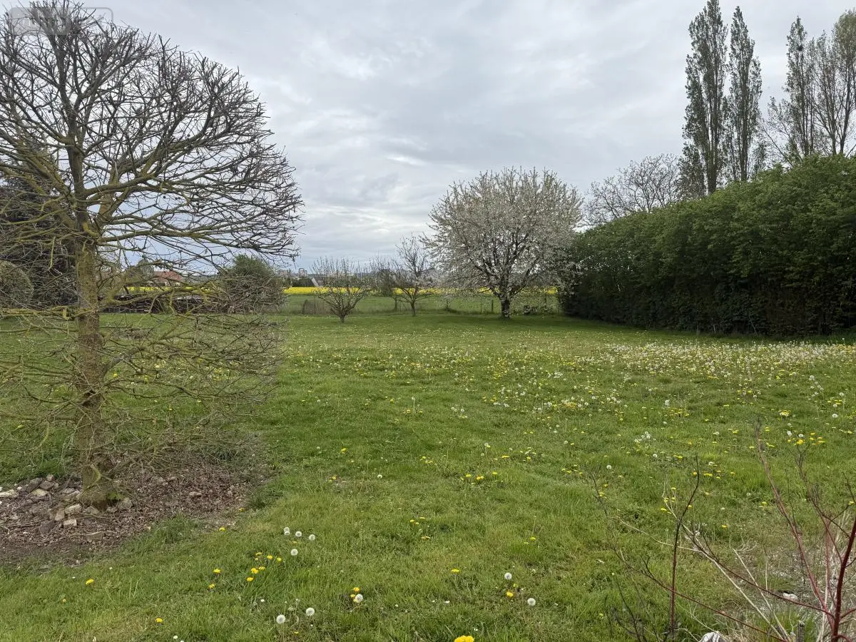 Terrain a batir a vendre Vecquemont 80800 Somme 80 63000 euros 80121-2785 001