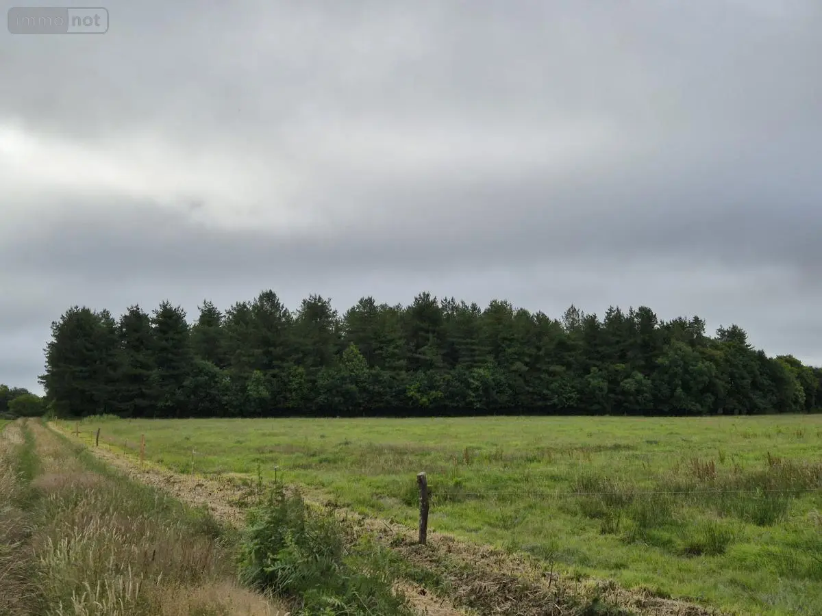 Terrains de loisirs bois etangs a vendre Saint-Servant 56120 Morbihan 56 11000 euros 56049-835 001