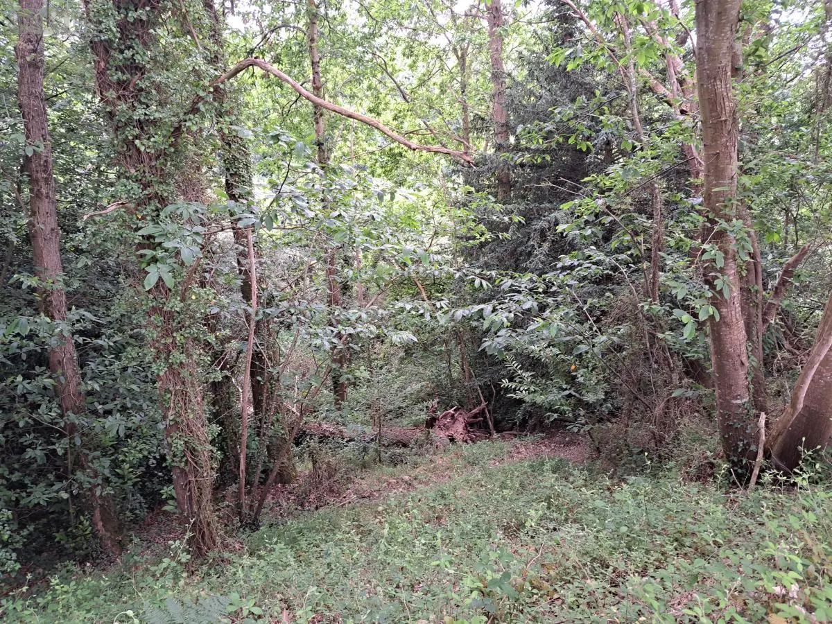 Terrains de loisirs bois etangs a vendre Camlez 22450 Côtes-d'Armor 22 17000 euros 22102-2447 001