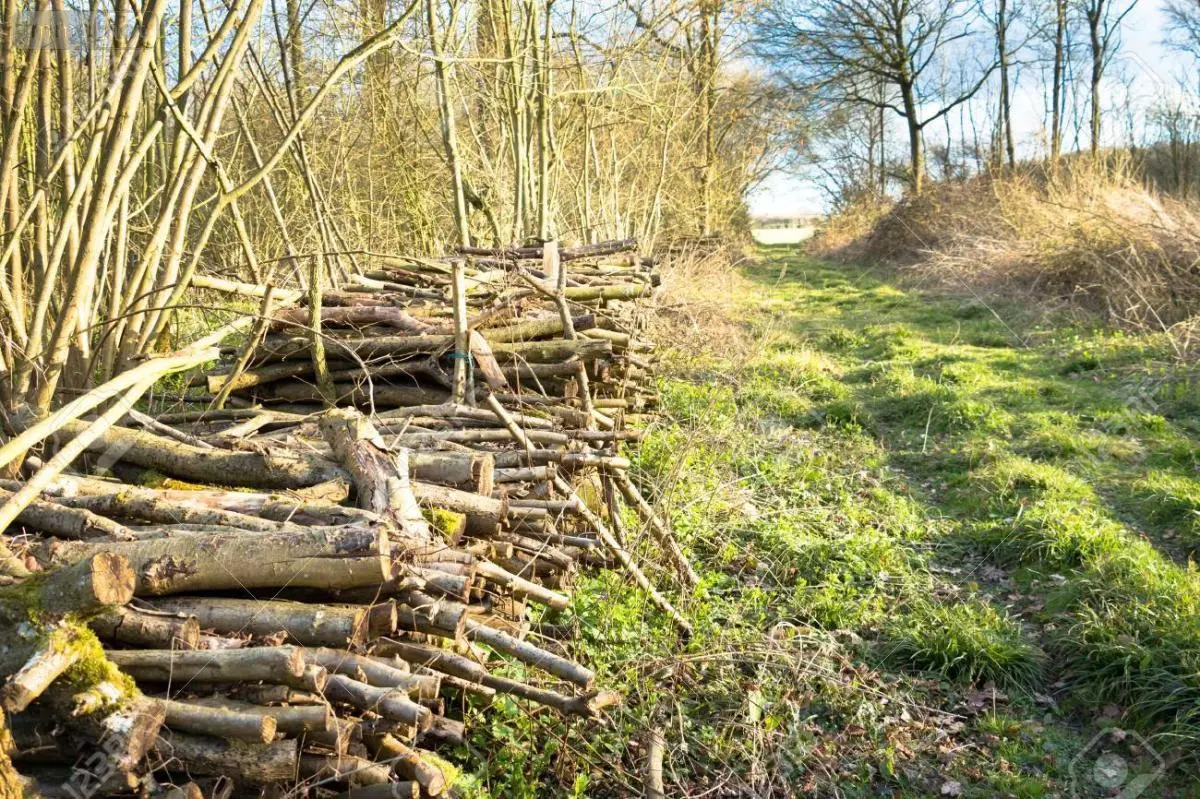 Terrains de loisirs bois etangs a vendre Sogny-aux-Moulins 51520 Marne 51 2500 euros 51084-1284 001