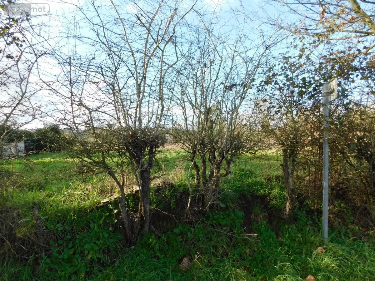 Terrain a batir a vendre Brissarthe 49330 Maine-et-Loire 49 29865 euros 49096-1387 001