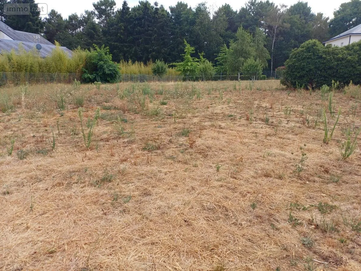 Terrain a batir a vendre Changé 72560 Sarthe 72 162700 euros 72007-1115 001