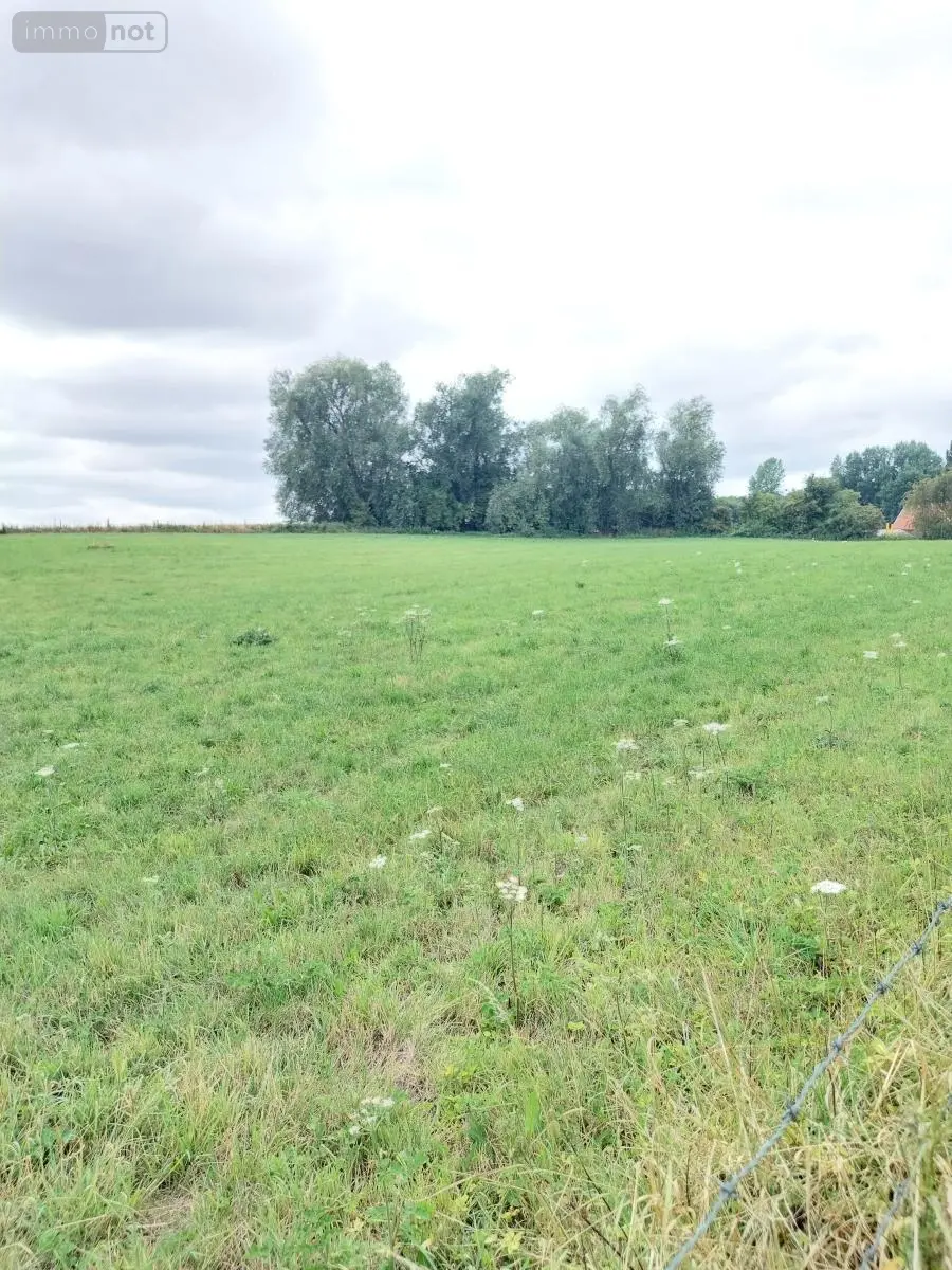 Terrain a batir a vendre Camblain-l'Abbé 62690 Pas-de-Calais 62 58000 euros 62113-1180 001