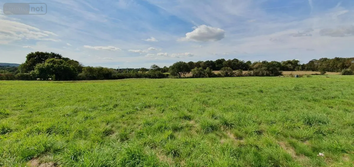 Terrain a batir a vendre Porcaro 56380 Morbihan 56 41040 euros 56046-1371 001
