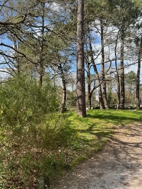 Fonds et murs commerciaux a vendre Vannes 56000 Morbihan 56 344 m2 690100 euros 56001-1225 001