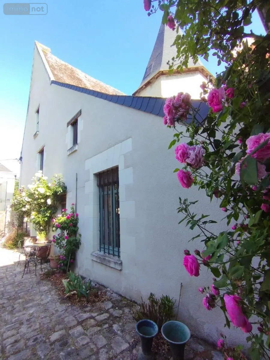 Maison a vendre Saint-Épain 37800 Indre-et-Loire 37 200 m2 8 pièces 365800 euros 37072-659 001