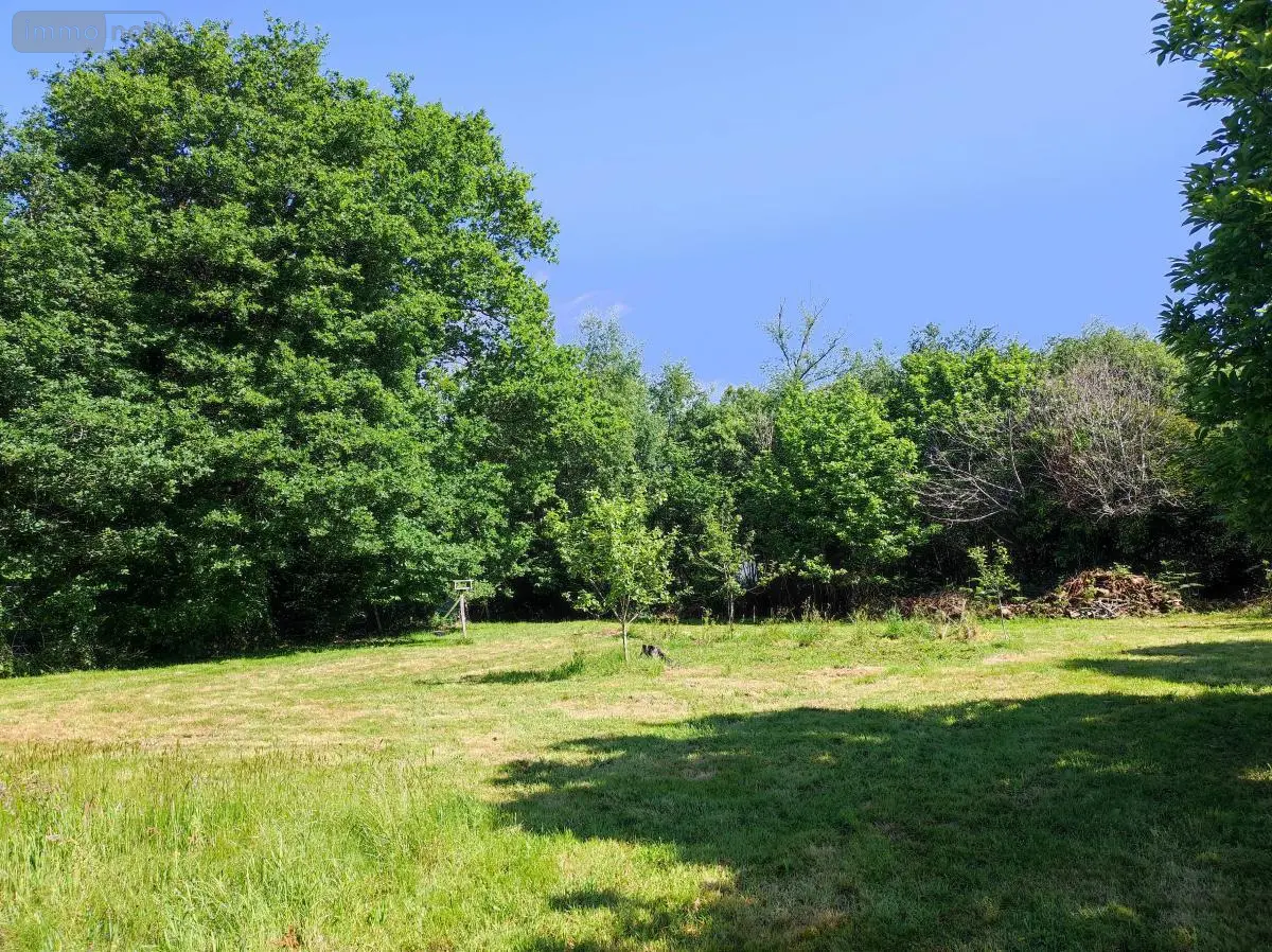 Terrain a batir a vendre Camors 56330 Morbihan 56 94680 euros 56064-1526 001