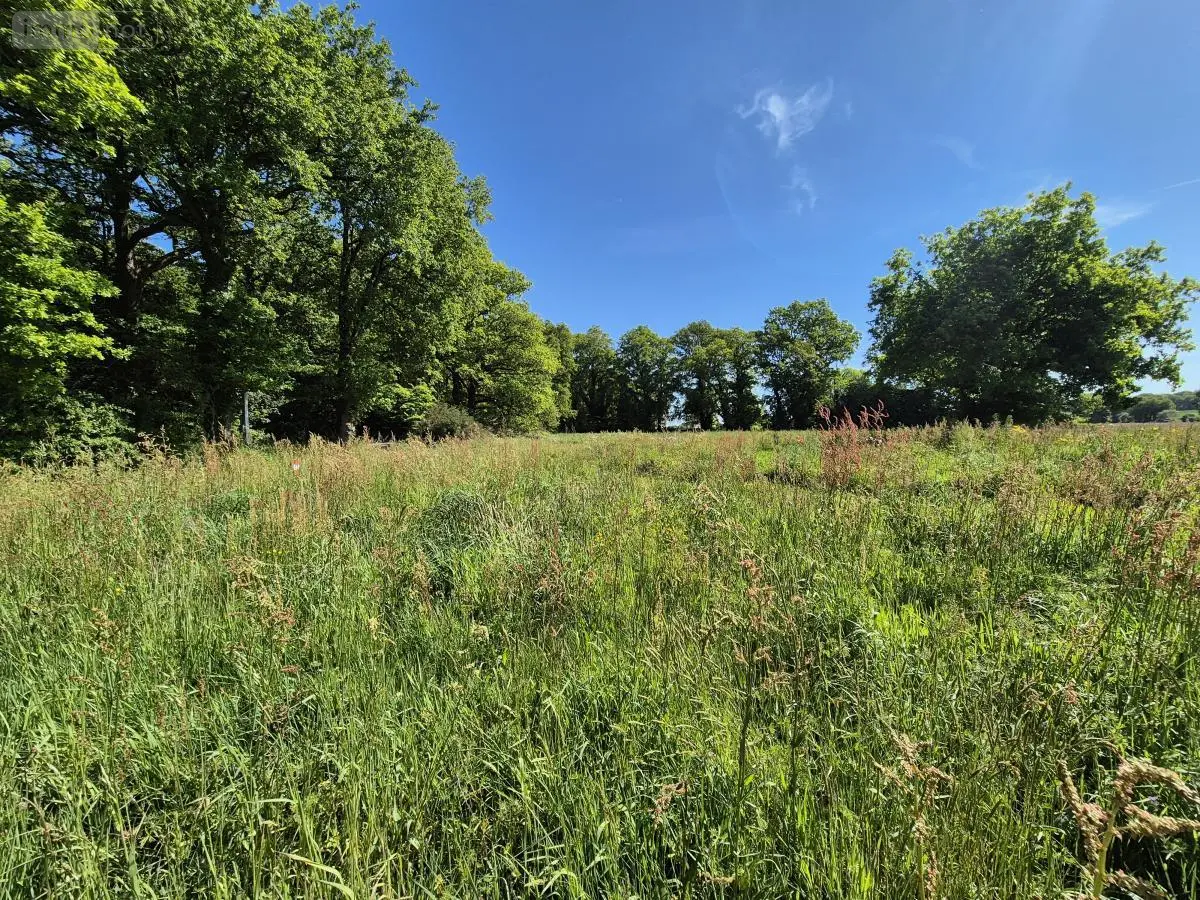 Terrain a batir a vendre Missiriac 56140 Morbihan 56 60000 euros 56049-796 001